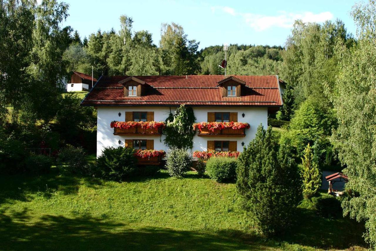 Ferienwohnungen Haus "Wildschuetz" Frauenau Eksteriør bilde