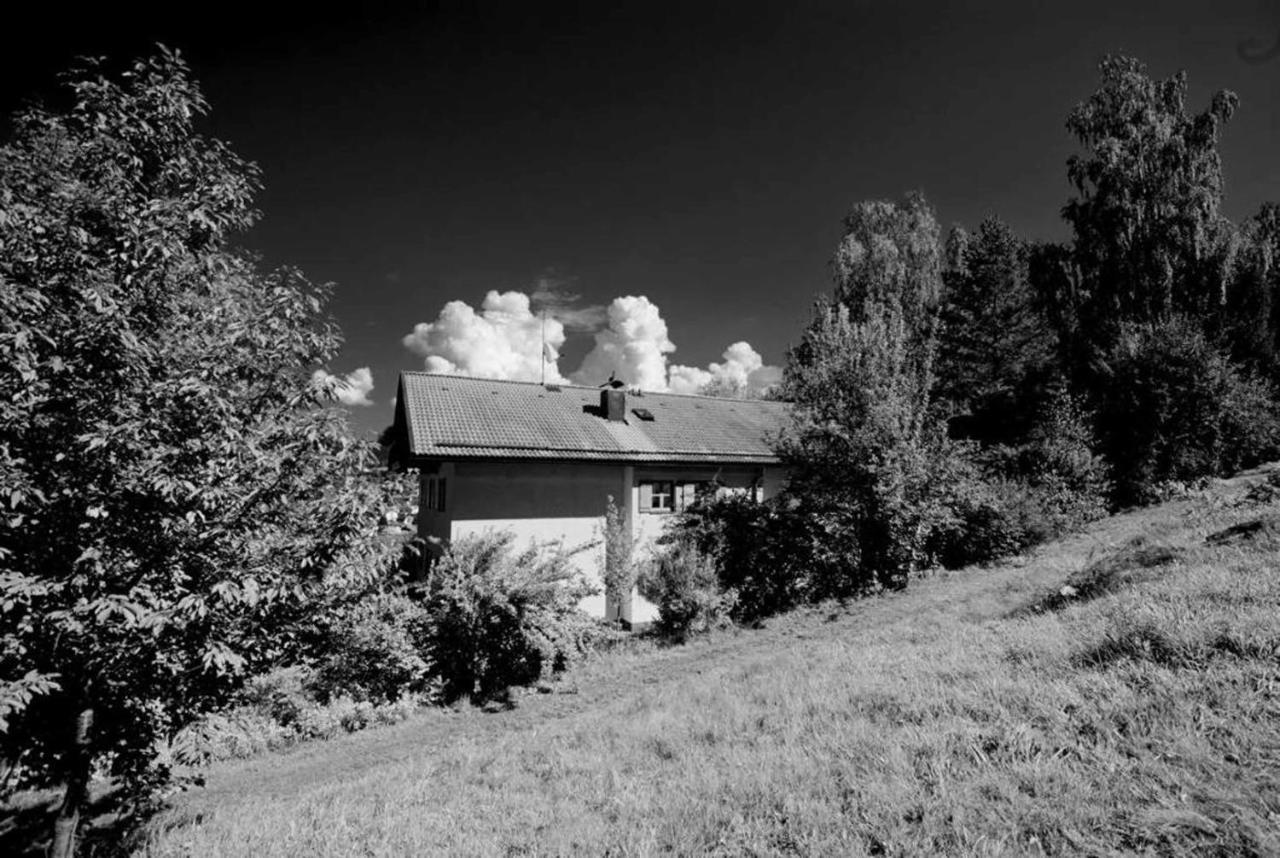 Ferienwohnungen Haus "Wildschuetz" Frauenau Eksteriør bilde