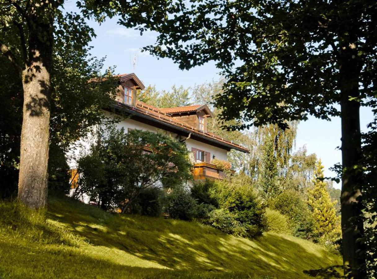 Ferienwohnungen Haus "Wildschuetz" Frauenau Eksteriør bilde